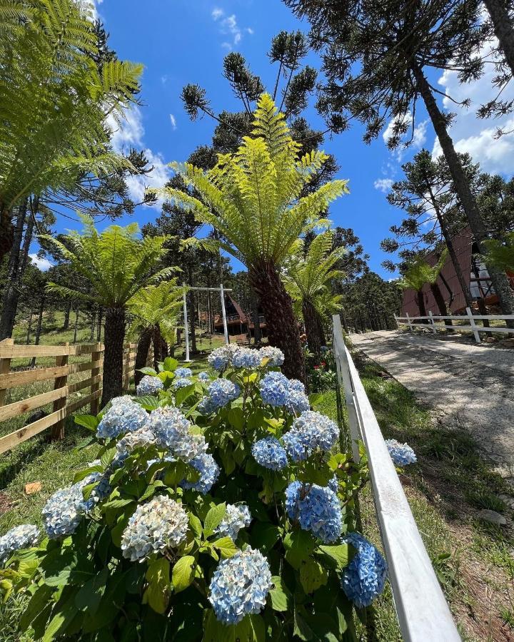 Urubici - Cabana Da Montanha Mundo Novo  Exterior foto
